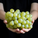 A young child sommelier carefully holding a small bunch of Chenin Blanc grapes, studying them with interest.